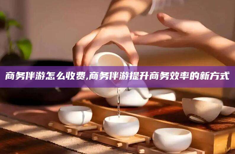 宣城商务伴游怎么收费,商务伴游提升商务效率的新方式