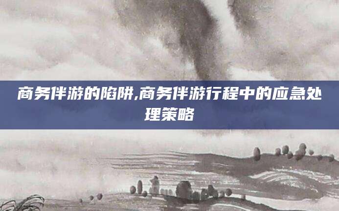 宣城商务伴游的陷阱,商务伴游行程中的应急处理策略